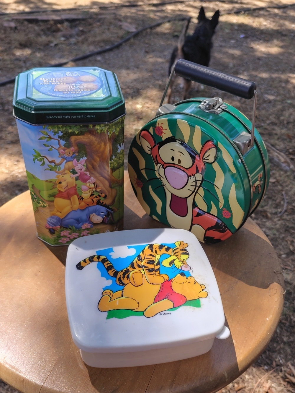 Disney Tigger & Winnie the Pooh Tin Trio - Green, White, Multicolor